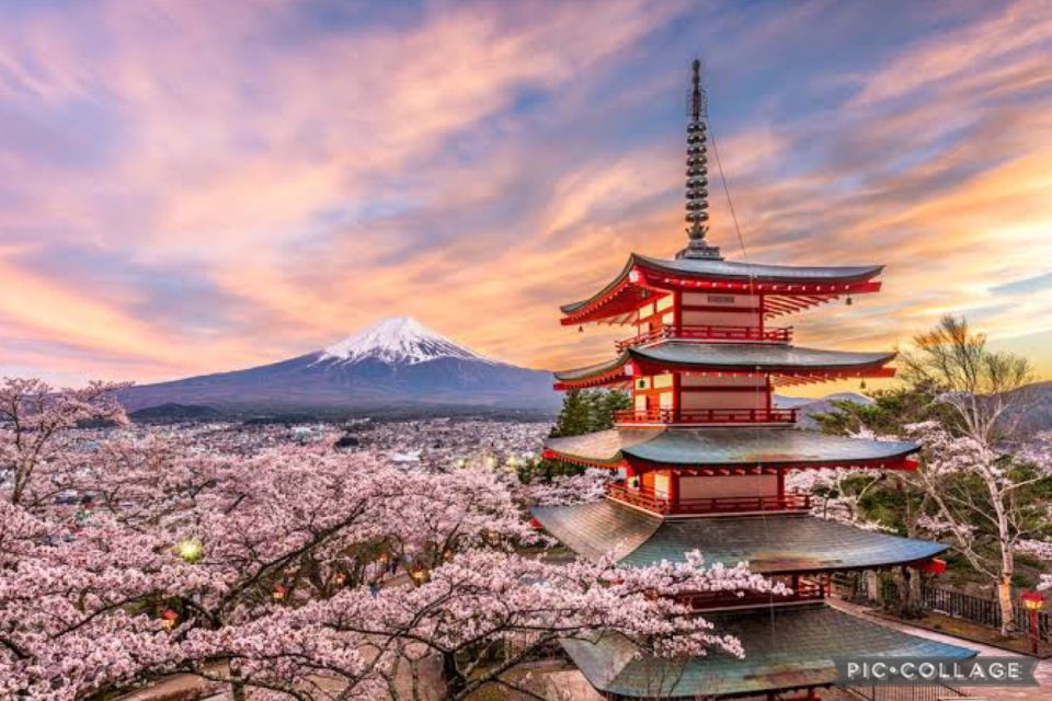 From Tokyo/Hakone/Fuji: Hakone & Mt. Fuji Day Trip W/Pickup - Flexible Cancellation Policy