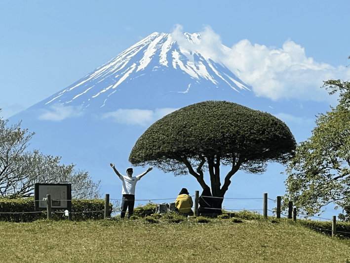 Hakone Hachiri: Old Tokaido Highway Hiking Tour - Experience