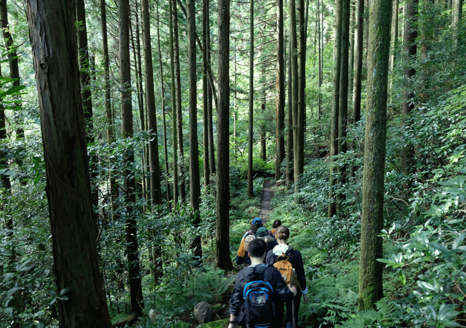 Hakone Hachiri: Old Tokaido Highway Hiking Tour - Additional Information