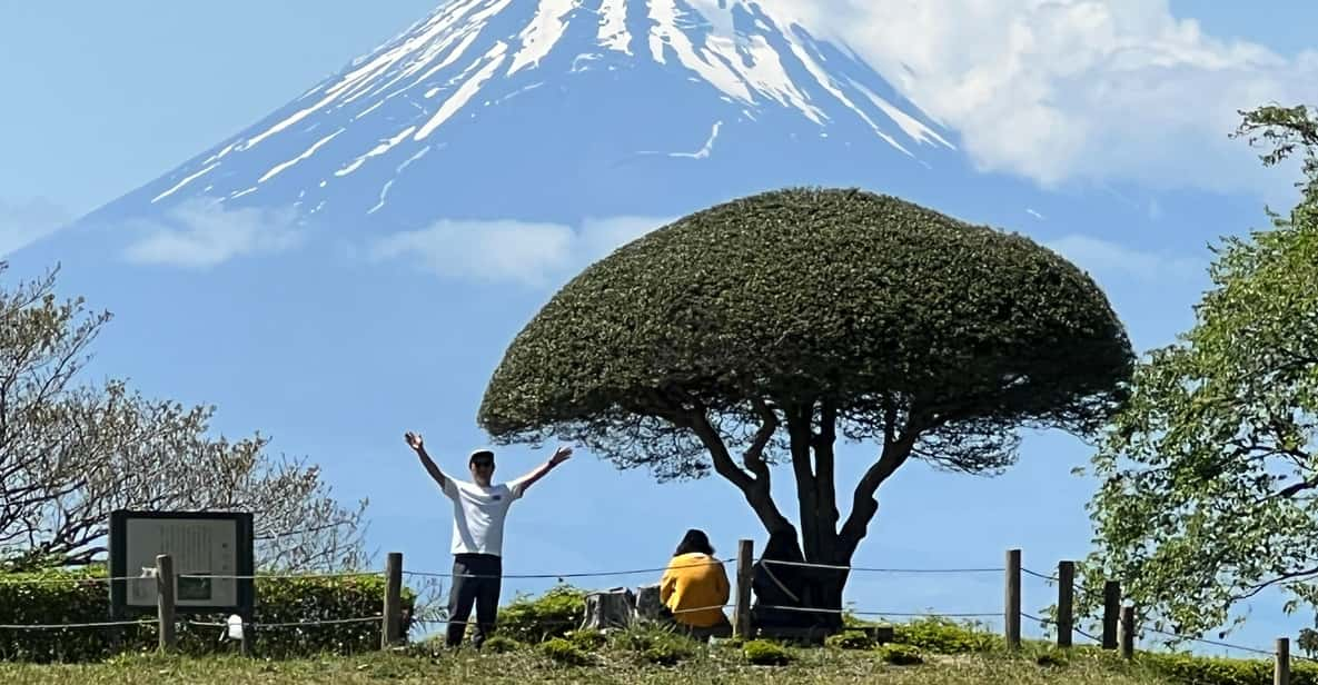 Hakone Hachiri: Old Tokaido Highway Hiking Tour - Key Takeaways