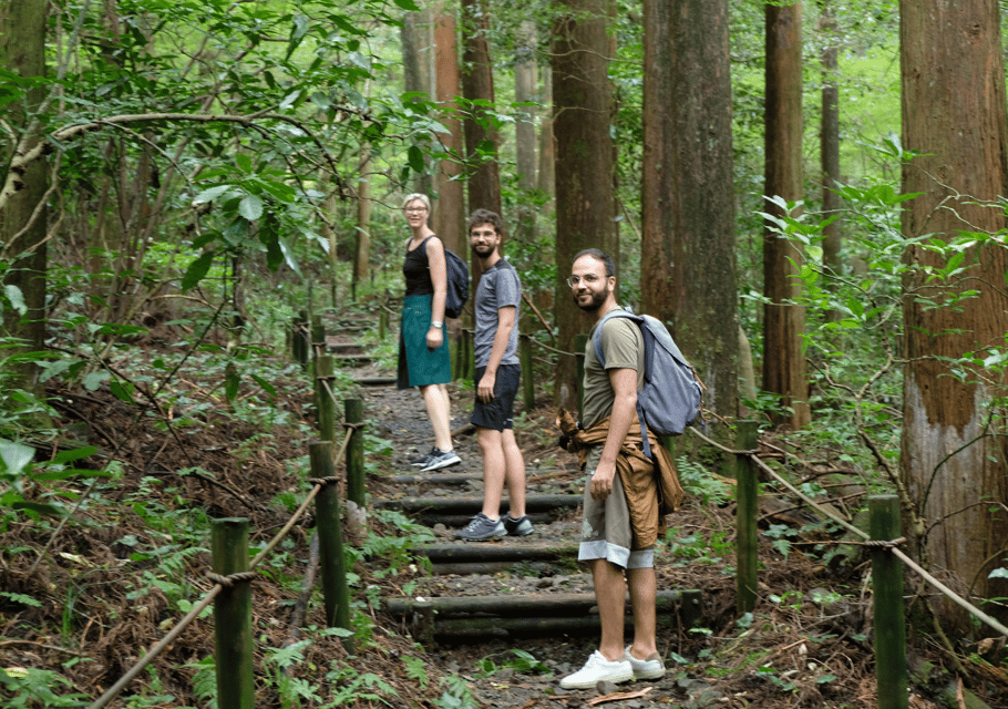 Hakone Hachiri: Old Tokaido Highway Hiking Tour - Highlights