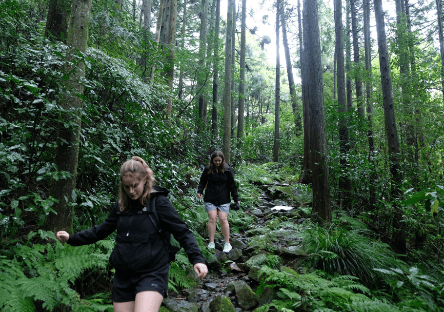 Hakone Hachiri: Old Tokaido Highway Hiking Tour - Directions