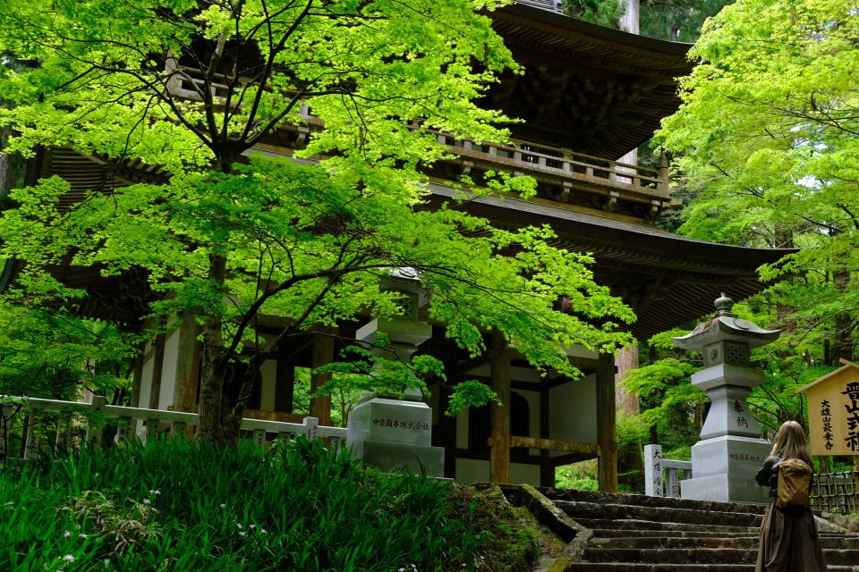 Fm Odawara: Forest Bathing and Onsen With Healing Power - Key Takeaways