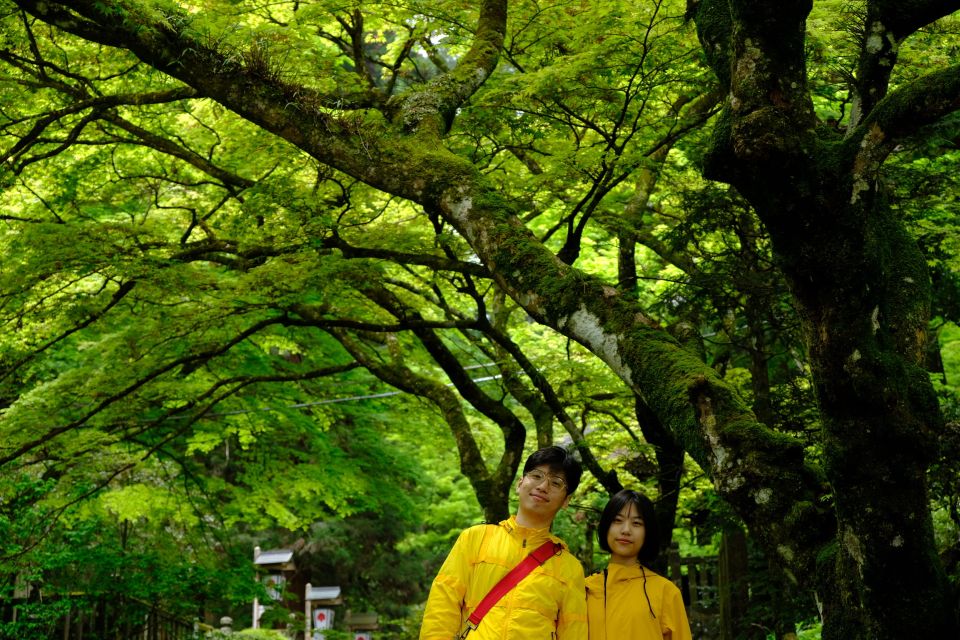 Fm Odawara: Forest Bathing and Onsen With Healing Power - Description