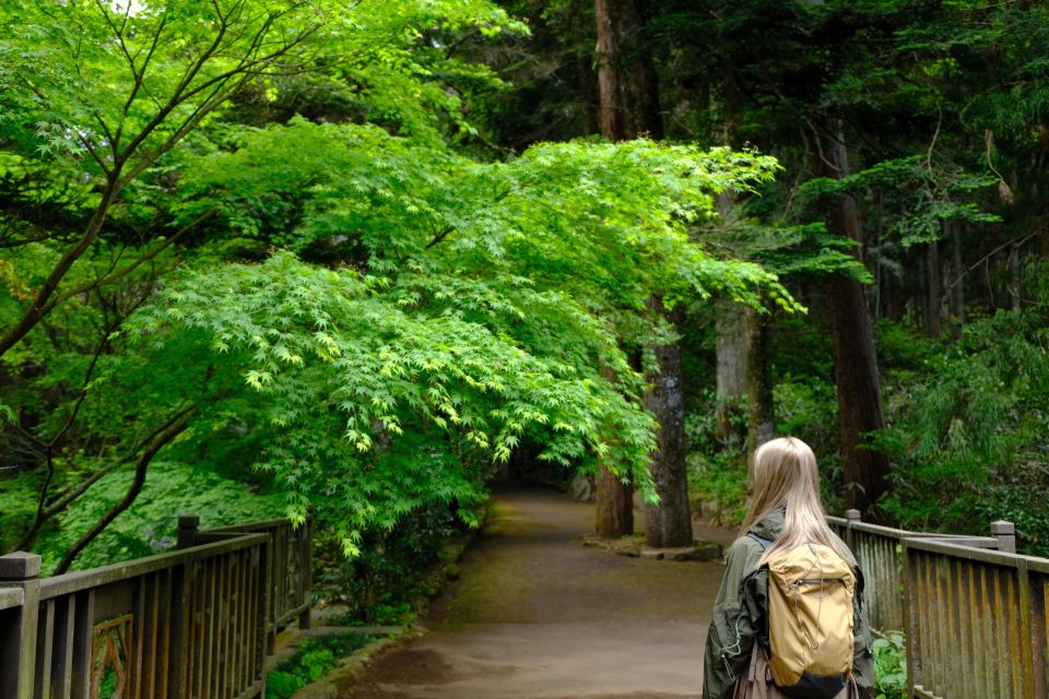 Fm Odawara: Forest Bathing and Onsen With Healing Power - Important Information