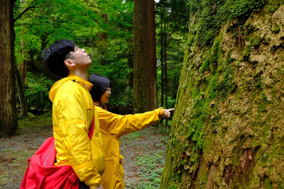 Fm Odawara: Forest Bathing and Onsen With Healing Power - Booking Information