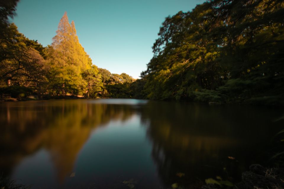 Audio Guide Tour: Deeper Experience of Shinjuku Sightseeing - Directions