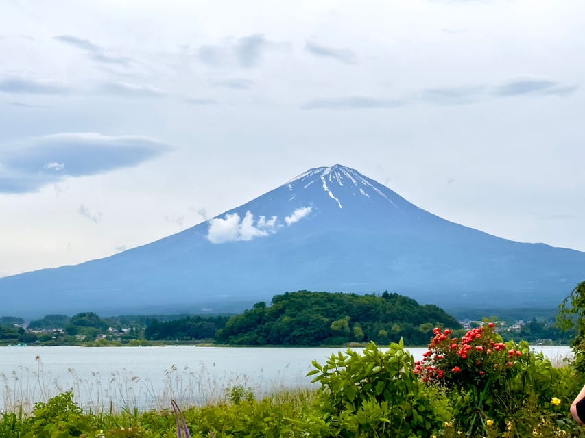 Mount Fuji Hakone With English-Speaking Guide - Experience