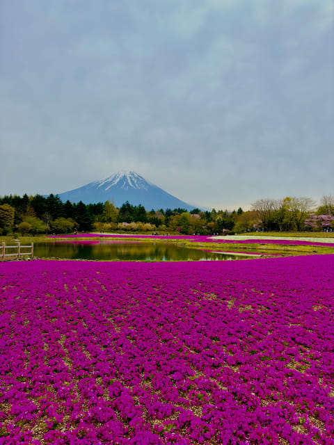 Mount Fuji Hakone With English-Speaking Guide - Inclusions