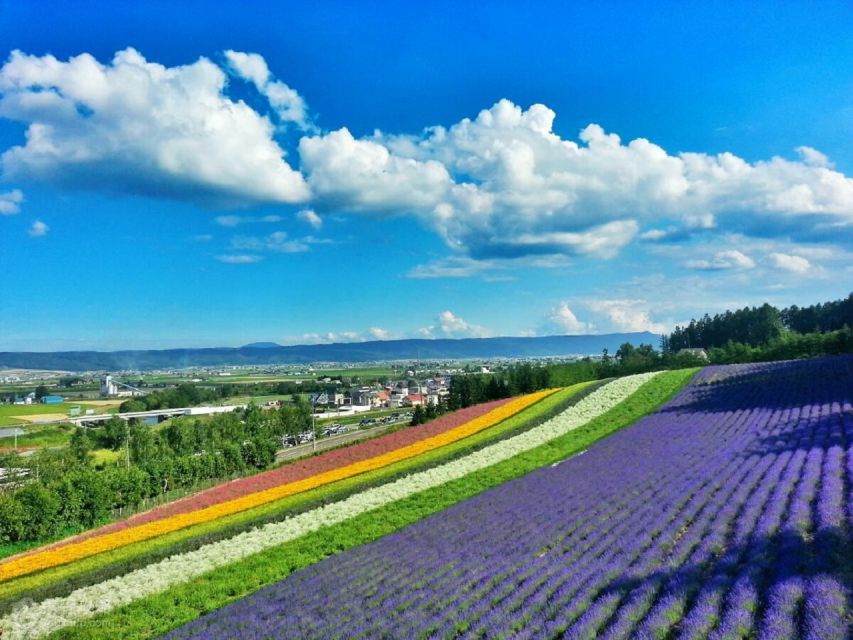 Hokkaido: Biei Blue Pond and Furano Flower Farm Day Trip - Directions