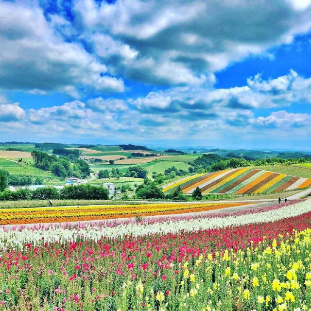 Hokkaido: Biei Blue Pond and Furano Flower Farm Day Trip - Important Information