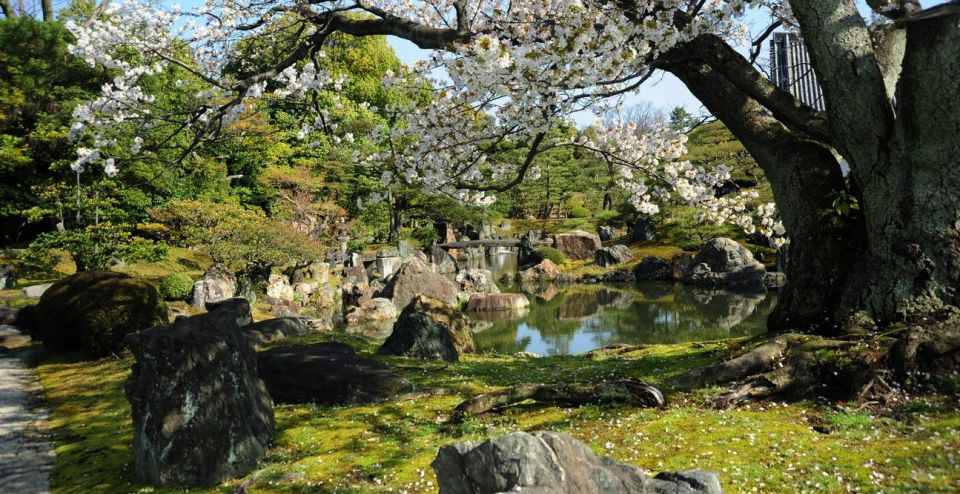 Kyoto: Nijo Castle and Ninomaru Palace Ticket - Opening Hours