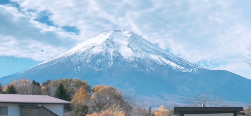 From Tokyo: Private Sightseeing Tour to Mount Fuji & Hakone - Key Takeaways