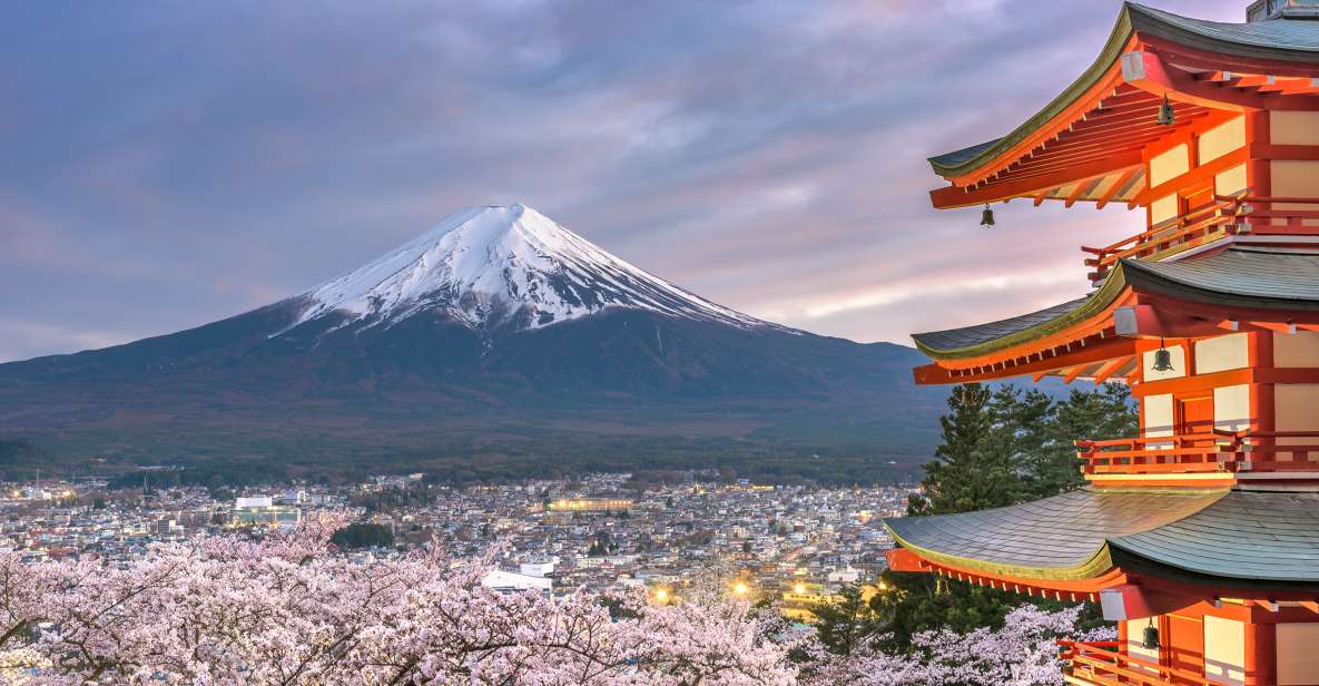 From Tokyo: Private Sightseeing Tour to Mount Fuji & Hakone - Itinerary