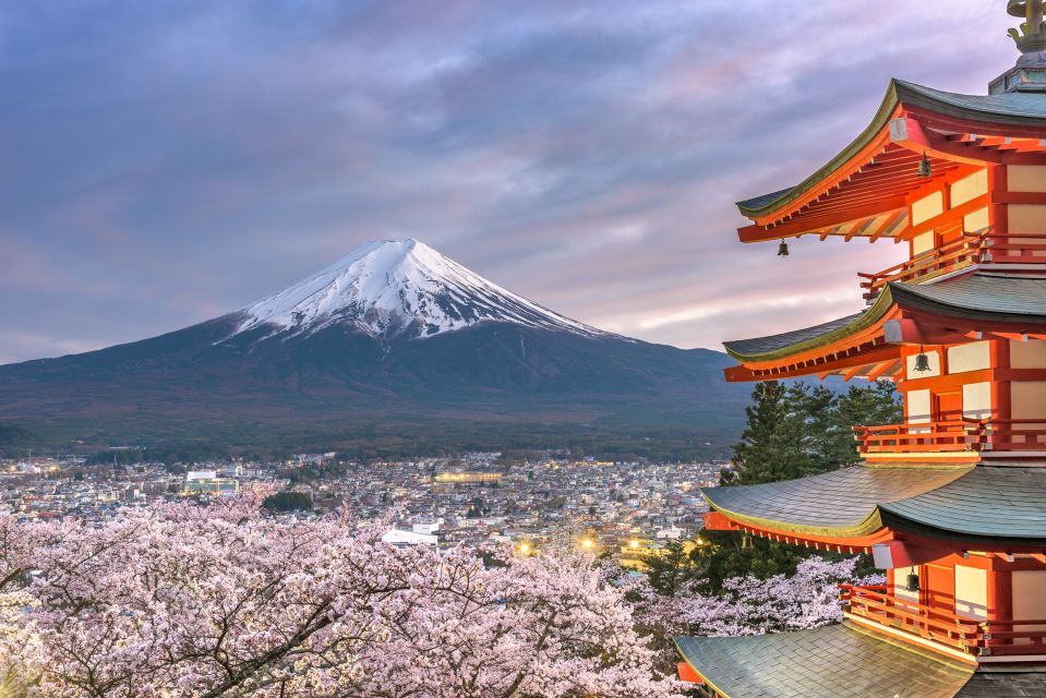 From Tokyo: Private Sightseeing Tour to Mount Fuji & Hakone - Additional Information