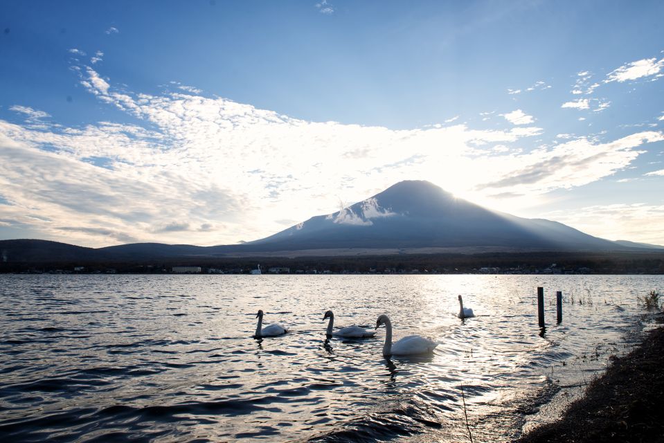 From Tokyo: Private Sightseeing Tour to Mount Fuji & Hakone - Directions