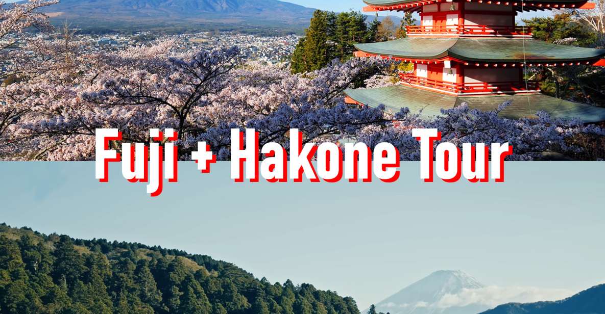 Tokyo to Mount Fuji and Hakone: Private Full-Day Tour - Key Takeaways