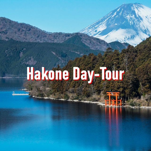 From Tokyo: 10-hour Hakone Private Custom Tour - Tour Highlights