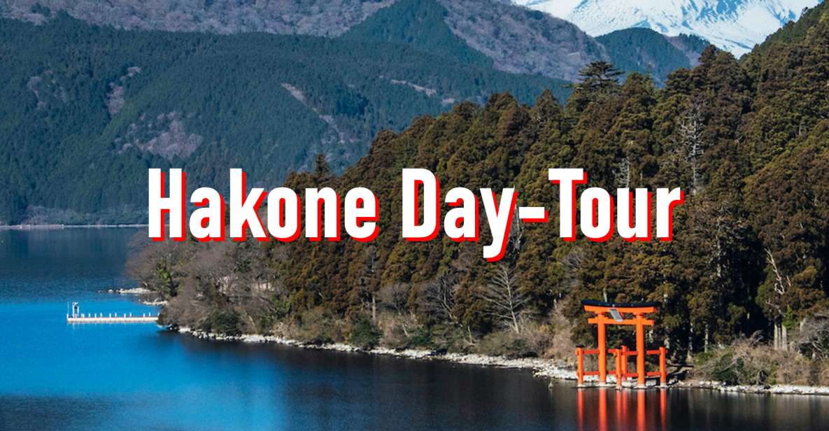 From Tokyo: 10-hour Hakone Private Custom Tour - Customer Reviews