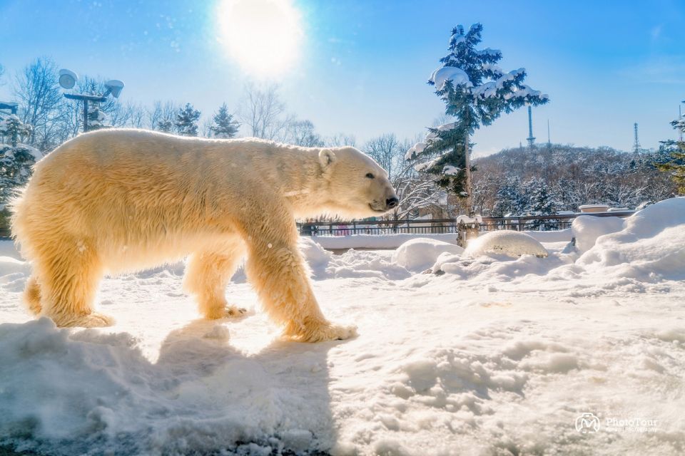 Hokkaido: Asahiyama Zoo, Furano, and Ningle Terrace Tour - Frequently Asked Questions