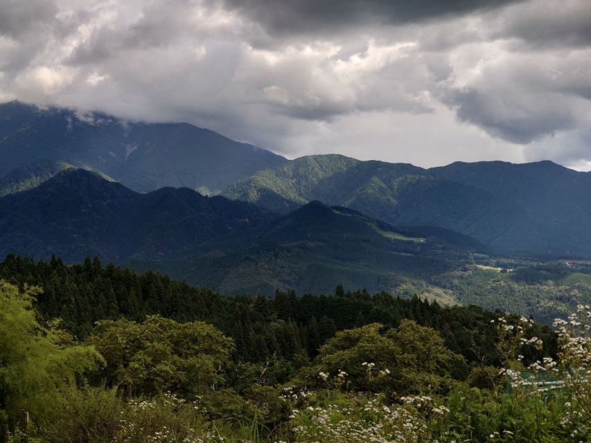 From Matsumoto/Nagano: Nakasendo Trail Walking Tour - Customer Reviews