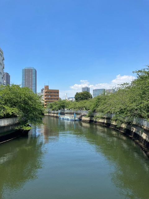 Calm Tokyo: Local-Led Cultural Temple Tour With Manami - Activity Description