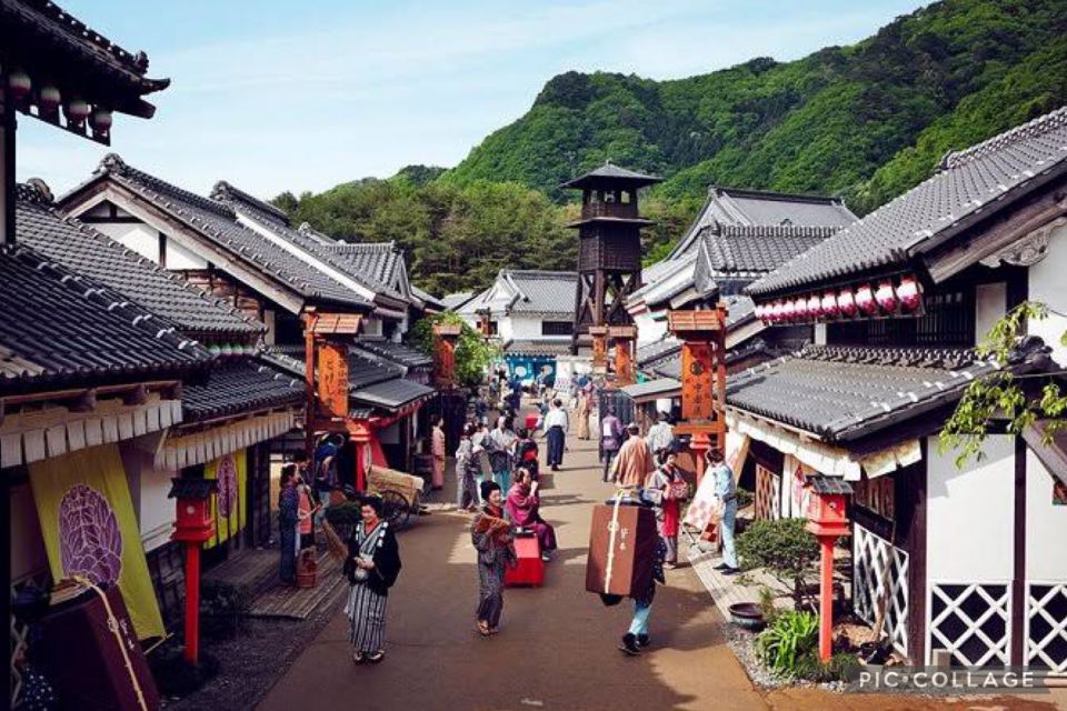 From Tokyo:Nikko Full Day Tour W/Hotel Pickup by Private Car - Tour Details