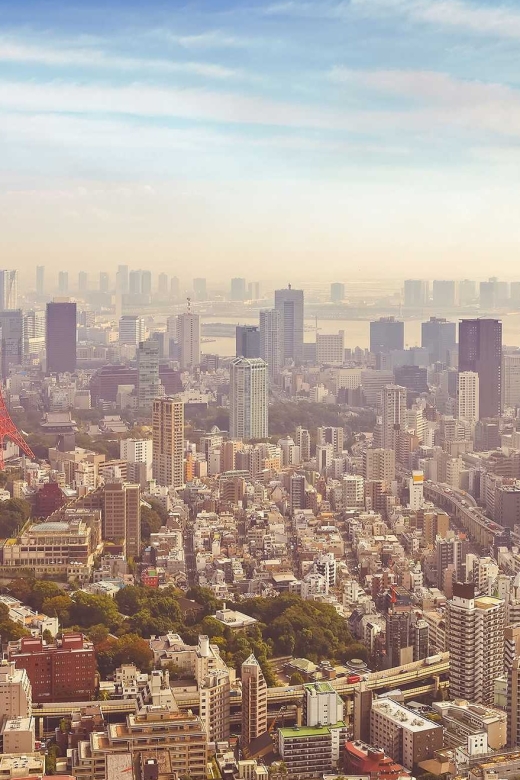 Tokyo: Full Day Private Walking Tour With a Guide - Inclusions and Additional Services