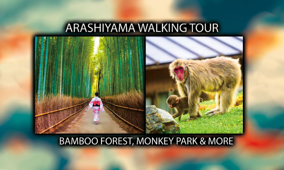 Arashiyama Kyoto: Bamboo Forest, Monkey Park & Secrets - Itinerary Highlights