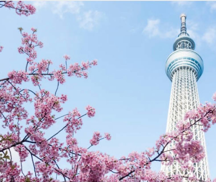 Tokyo Private Tour: Customizable (Up-To 6 Persons) - Key Takeaways