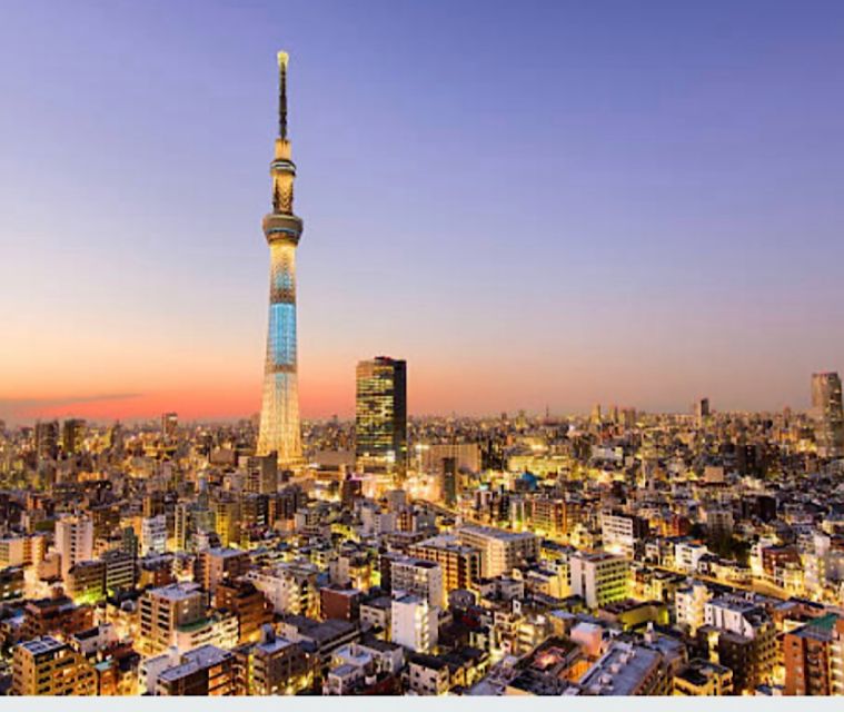 Tokyo Private Tour: Customizable (Up-To 6 Persons) - Customization and Booking Details