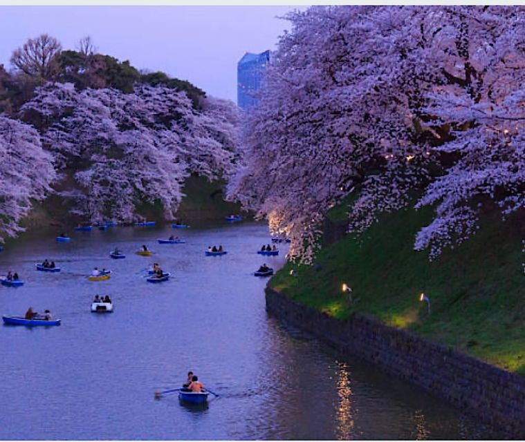 Tokyo Private Tour: Customizable (Up-To 6 Persons) - Exclusive Additions and Customer Reviews