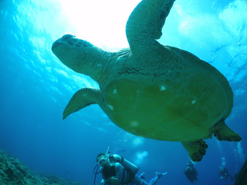 National Park Kerama Islands 2 Boat Fan Diving (With Rental) - Key Takeaways