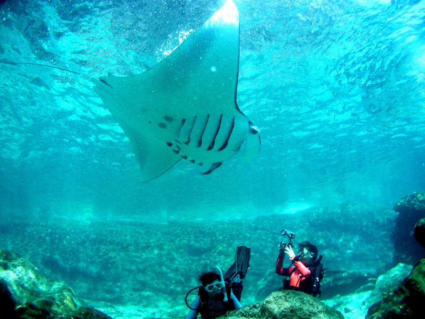 National Park Kerama Islands 2 Boat Fan Diving (With Rental) - Important Information