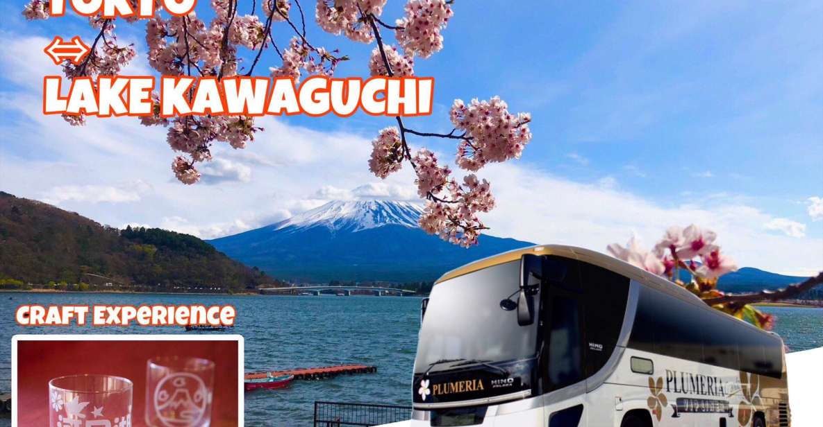 Lake Kawaguchi From Tokyo Express Bus Oneway/Roundway - Key Takeaways