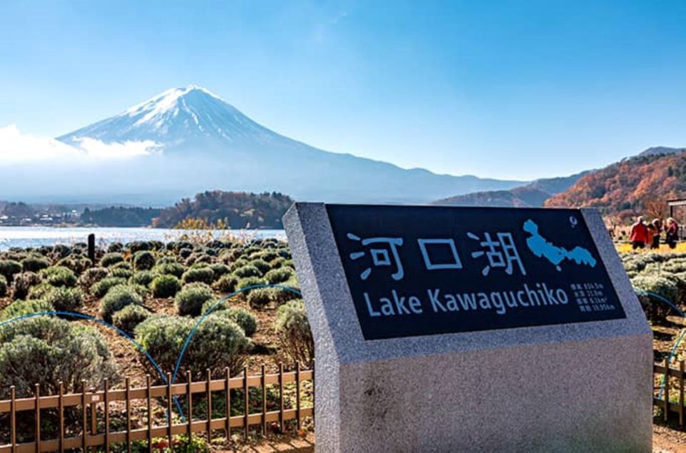 Lake Kawaguchi From Tokyo Express Bus Oneway/Roundway - Frequently Asked Questions