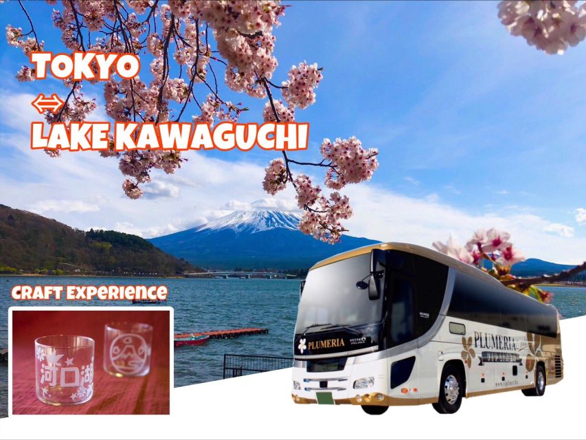 Lake Kawaguchi From Tokyo Express Bus Oneway/Roundway - Customer Reviews and Additional Info