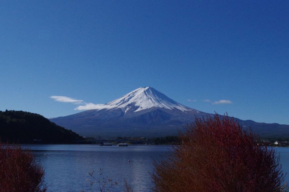 Lake Kawaguchi From Tokyo Express Bus Oneway/Roundway - Important Guidelines