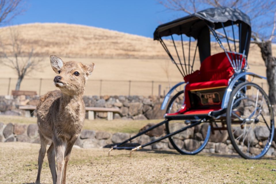 Nara: Cultural Heritage Tour by Rickshaw - Tour Highlights