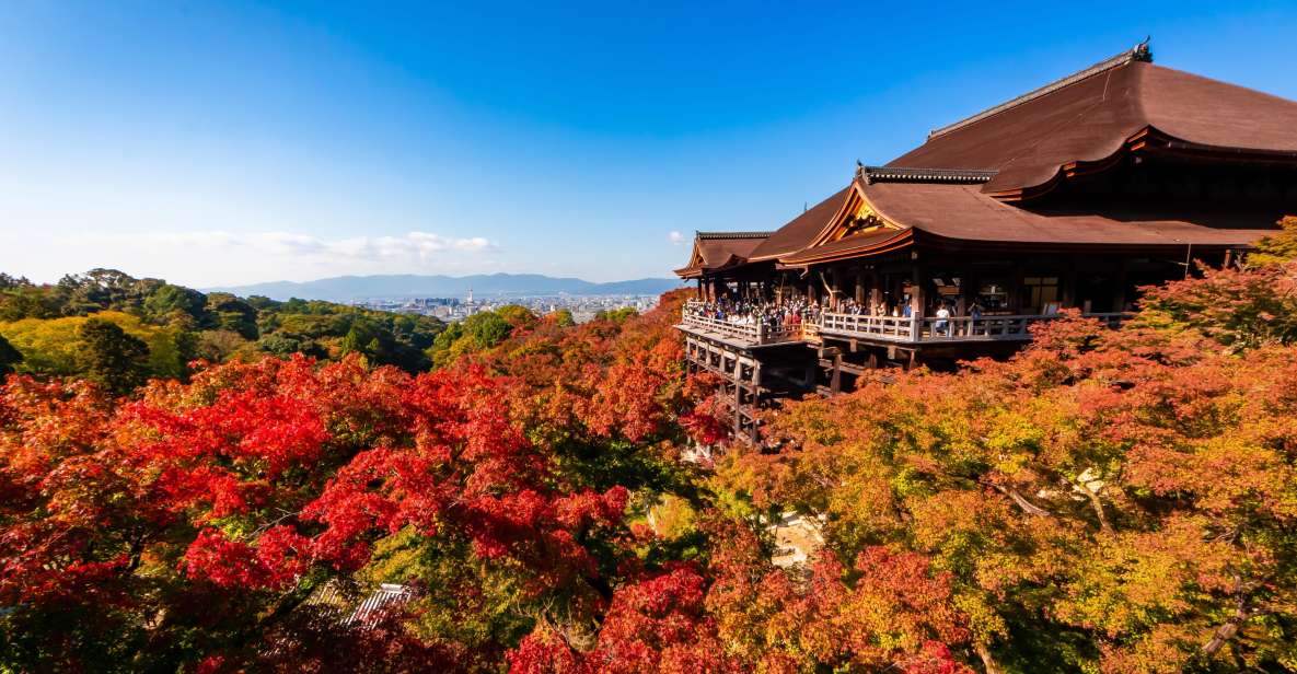 Kiyomizu Temple and Backstreet of Gion Half Day Private Tour - Booking Information