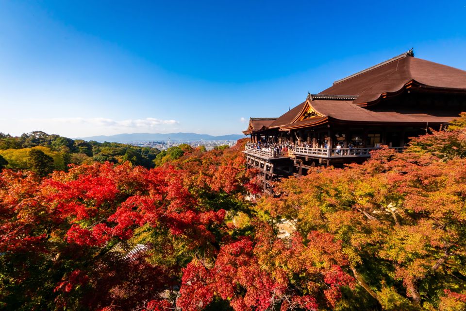 Kiyomizu Temple and Backstreet of Gion Half Day Private Tour - Itinerary