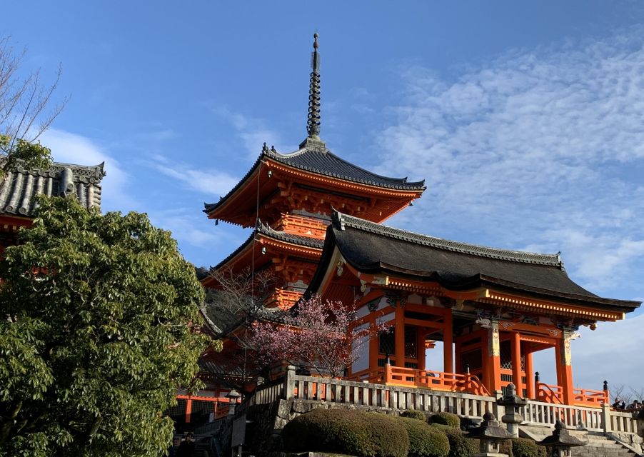 Kiyomizu Temple and Backstreet of Gion Half Day Private Tour - Experience