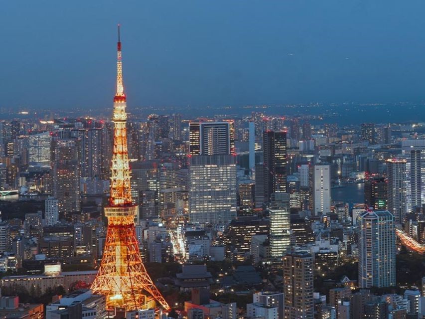 Tokyo: Cruise With Japanese Show, Meal & Tokyo Tower Ticket - Logistics and Recommendations