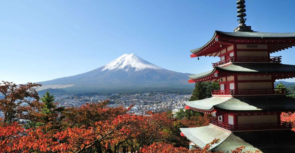 Tokyo: Private Sightseeing Day Trip to Mount Fuji and Hakone - Trip Details