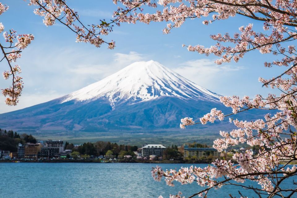 Tokyo: Private Sightseeing Day Trip to Mount Fuji and Hakone - Highlights