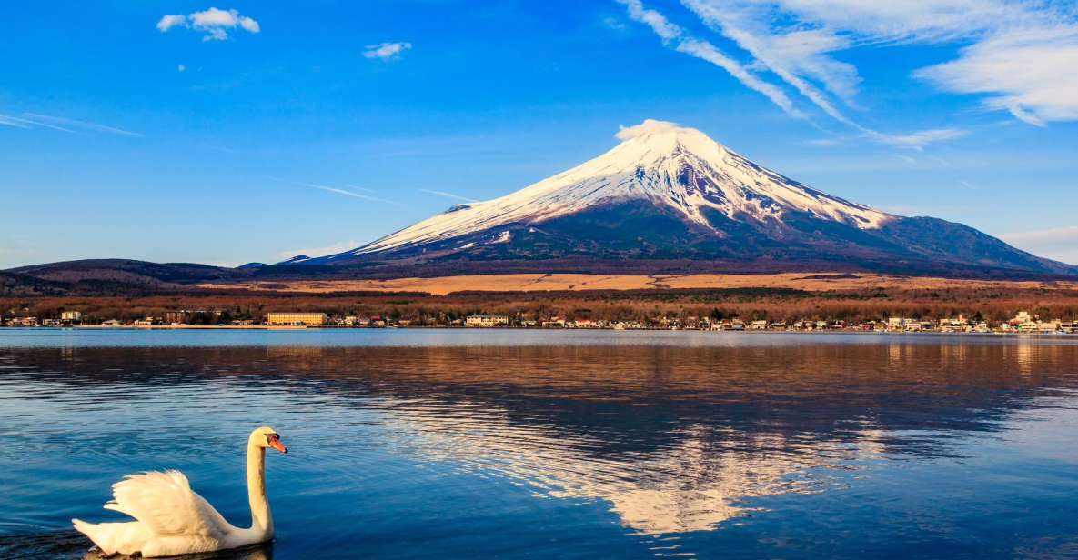 1-Day Trip: Mt Fuji + Kawaguchi Lake Area - Itinerary Highlights