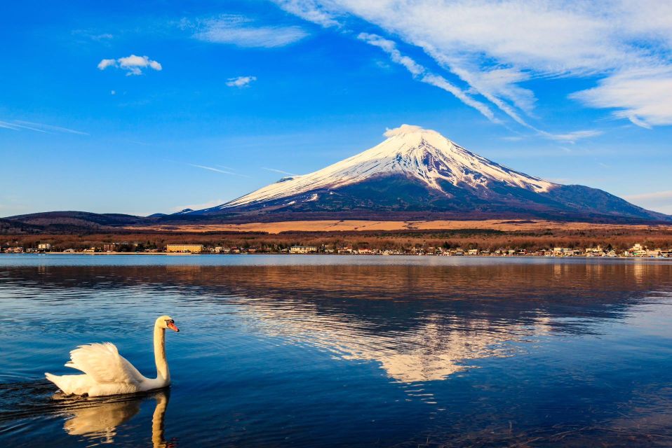 1-Day Trip: Mt Fuji + Kawaguchi Lake Area - Booking Information