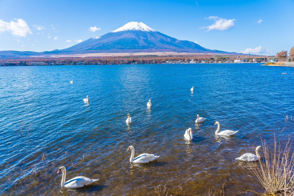 1-Day Trip: Mt Fuji + Kawaguchi Lake Area - Customer Reviews and Ratings