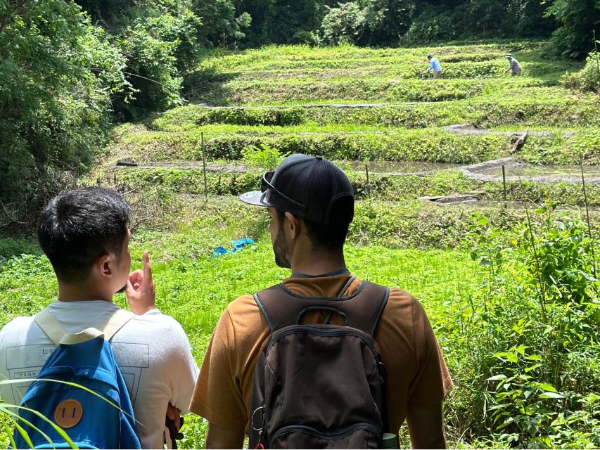 Kamakura Hidden Hike - Top Highlights Along the Trail