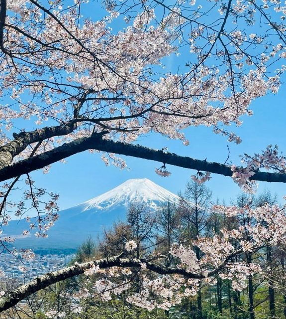 Full Guided One Day Trip for Mount Fuji Japan - Inclusions